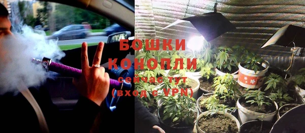 стафф Няндома