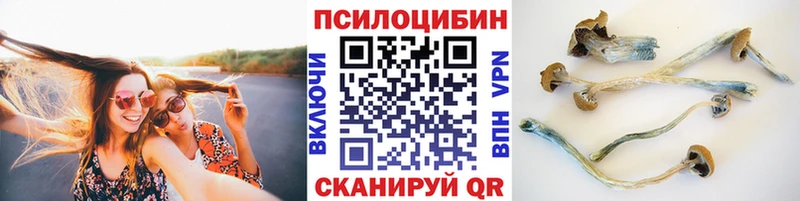 Галлюциногенные грибы ЛСД где продают Ялта